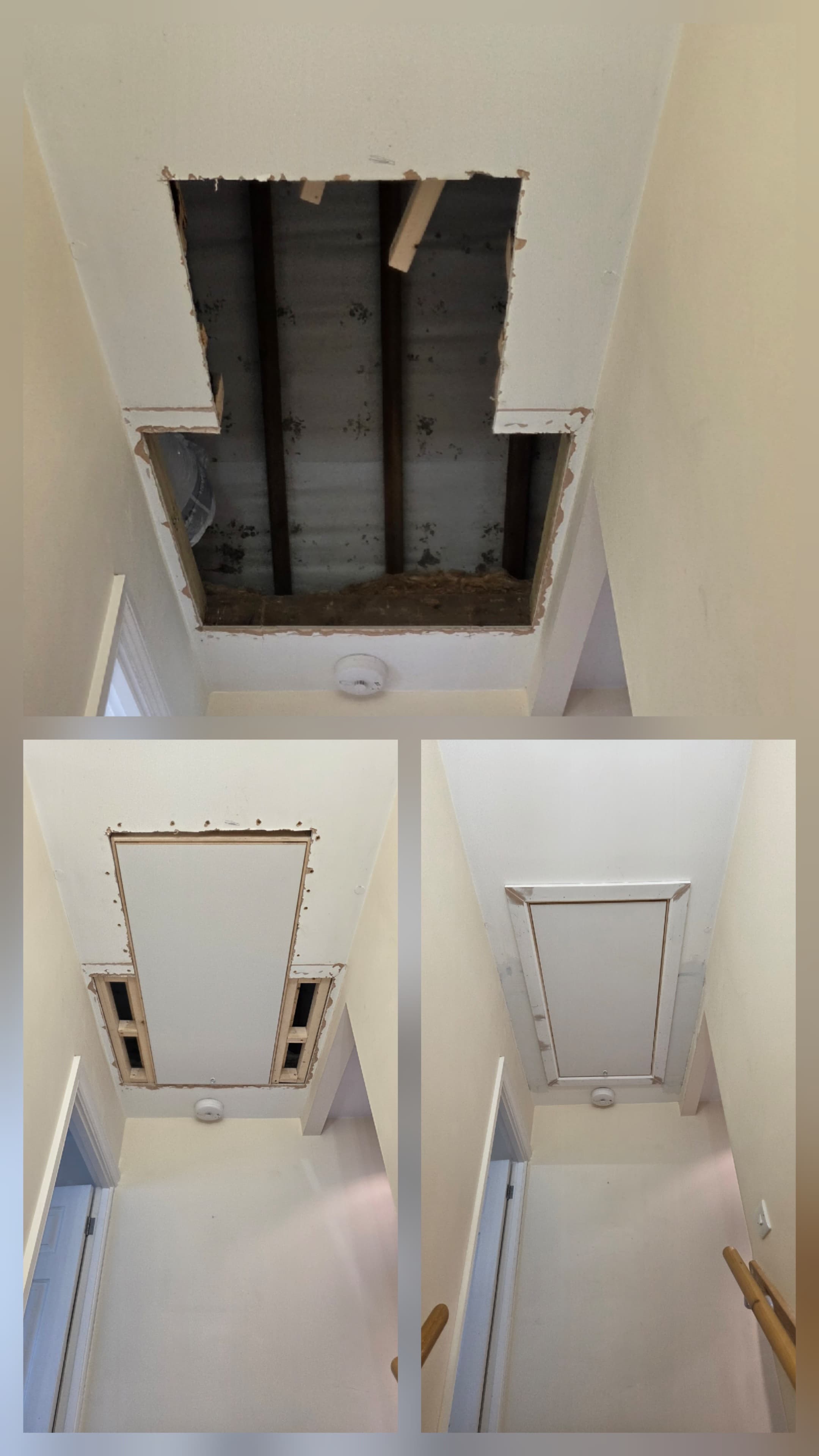 Loft hatch and ladder install